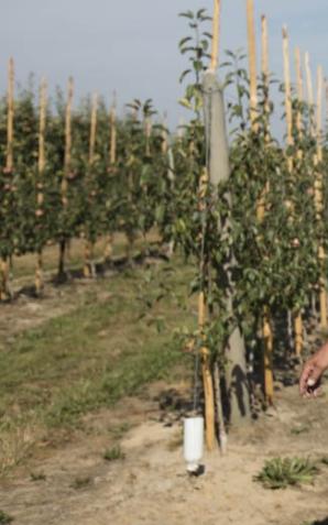 Premier Ewa Kopacz: we wtorek konkretne propozycje pomocy dla poszkodowanych suszą